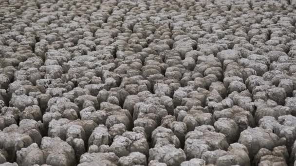 Enorme área de una tierra muy seca que sufre de sequía. — Vídeos de Stock