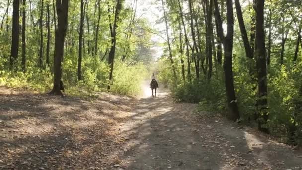 उद्यानात एक काळा घोडा चालत सुंदर महिला . — स्टॉक व्हिडिओ