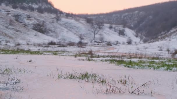 Sfondo con la prima neve che cade sull'erba verde. L'inverno è arrivato. — Video Stock