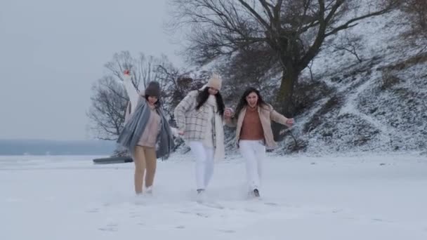Grupo de três amigos felizes se divertindo e brincando juntos no parque de inverno. — Vídeo de Stock