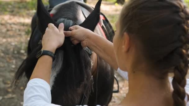 Młoda piękna dziewczyna delikatnie pieści i warkocze włosy na koniu w parku. — Wideo stockowe