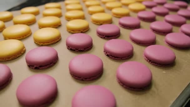 Chef make of a macaroons, prepared on the baking sheet to bake them. — Stock Video