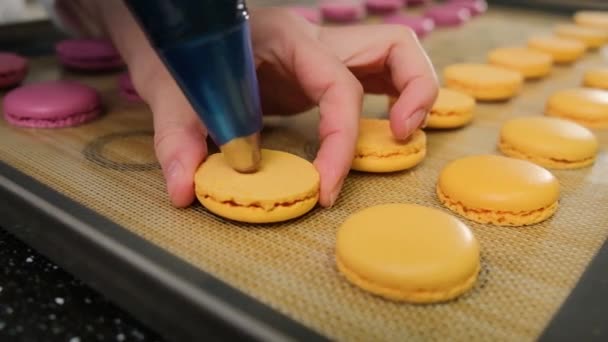 Pastelero está llenando macarrones de chocolate crema con bolsa de pastelería. — Vídeo de stock