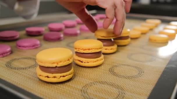 De banketbakker monteert macarons met chocolade room. — Stockvideo