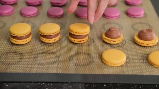 De banketbakker monteert macarons met chocolade room. — Stockvideo