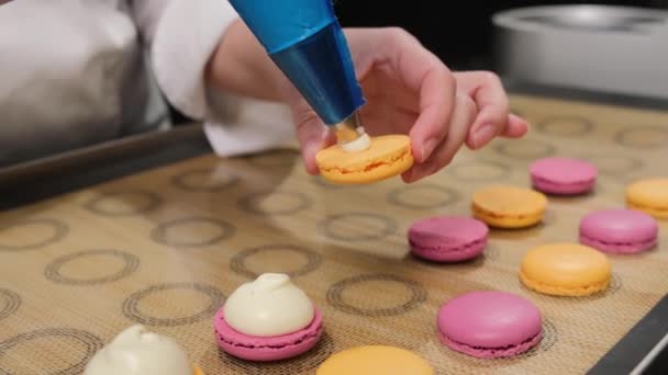 Chef de pastelaria está enchendo macarons de chocolate creme com saco de pastelaria. — Vídeo de Stock