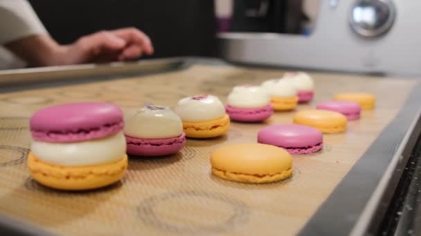 De banketbakker monteert gekleurde macarons met room. — Stockvideo