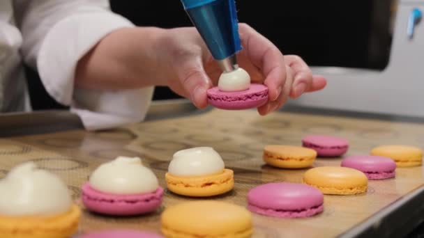 Chef de pastelaria está enchendo macarons com creme de chocolate usando um saco de pastelaria. — Vídeo de Stock