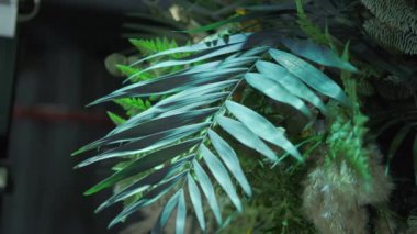 RGB ışıkları yardımıyla yeşil yapraklarla iç dekorasyon..