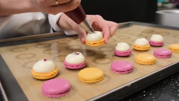 Chef de pastelaria está enchendo macarons com creme de morango usando um saco de pastelaria. — Vídeo de Stock