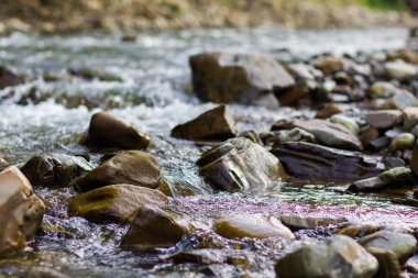 Bir dağ nehir üzerinde rulo