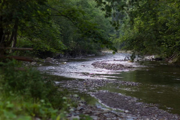 A slow moving stream — Stock Photo, Image