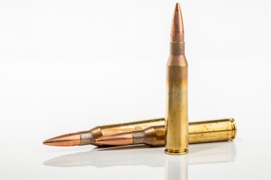 saldırı silahları 338 cephane.