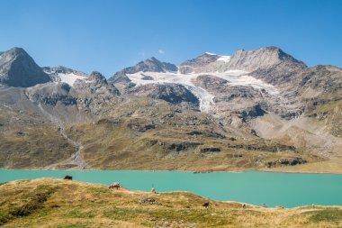 Lago Bianco, Passo del Bernina, Canotone dei Grigioni, Svizzera
