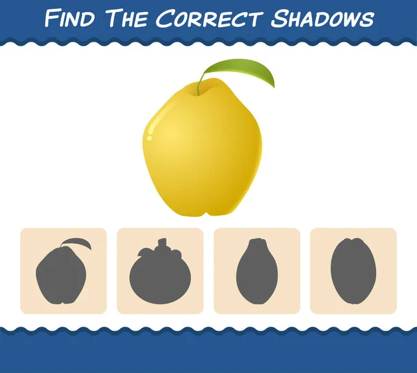 Encuentra Las Sombras Correctas Los Membrillos Dibujos Animados Búsqueda Juego — Vector de stock