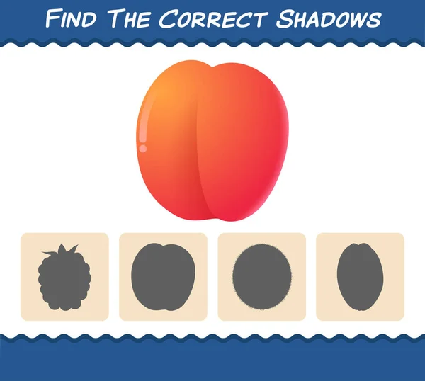 Trouvez Les Ombres Correctes Des Nectarines Dessin Animé Recherche Match — Image vectorielle