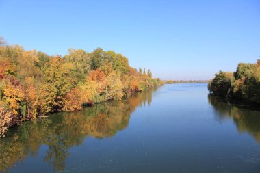 Suyun üzerindeki sonbahar manzarası ağaçları