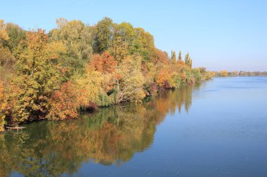 Suyun üzerindeki sonbahar manzarası ağaçları