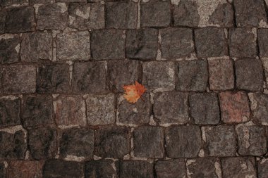  Yapraklı tuğla duvar