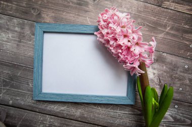 Pembe sümbül çiçeği ve ahşap arka planda resim çerçevesi. Yüksek kalite fotoğraf