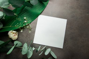 Bitki yaprakları ve okaliptüs dalları ile gri arkaplan üzerinde metin için yer alan boş beyaz sayfa