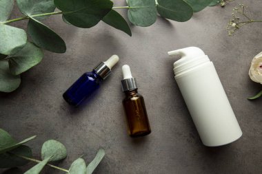 Okaliptüs filizi ve yeşil yapraklı gri arka planda serum ve kozmetik krem dolu şişeler. seçici odak