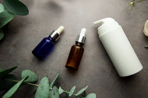 Okaliptüs filizi ve yeşil yapraklı gri arka planda serum ve kozmetik krem dolu şişeler. seçici odak