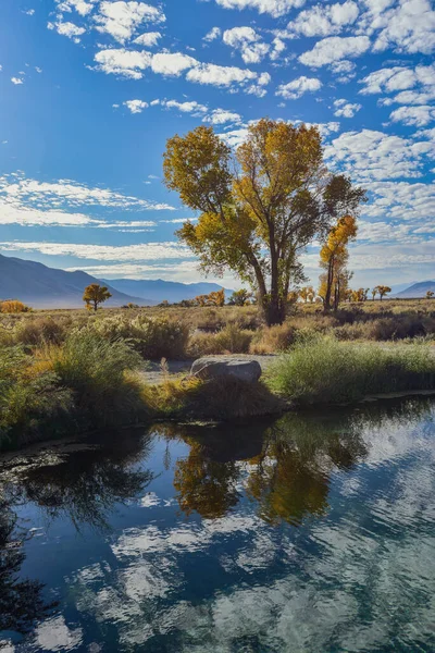 秋天的树木映衬在湖水里 在山谷里 白云映衬在蓝天 — 图库照片
