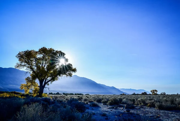 Sol Mañana Estalla Entre Rama Del Árbol Otoño Silueta Valle — Foto de Stock