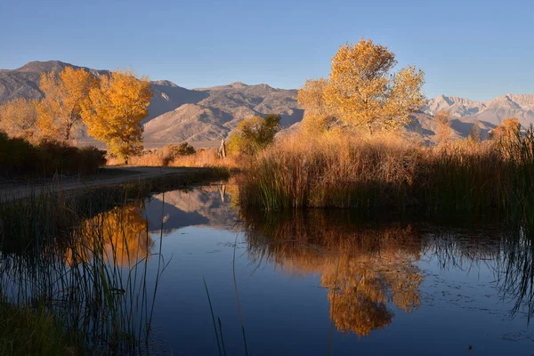 Reflexión Árboles Otoñales Agua Humedales Pantanosos Valle Montañoso — Foto de Stock