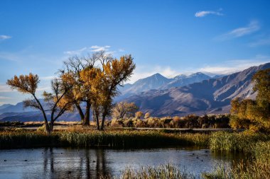 Sabahın erken saatlerinde sonbahar ağaçları dağ vadisindeki bataklık sularının sularında yansıyor.