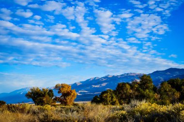 Dağ vadisinde sonbahar ağacı mavi gökyüzünde bulut desenli