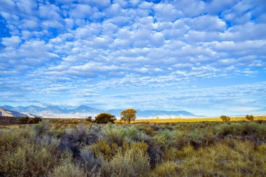 Sonbahar ağaçlarındaki altın sarısı yapraklar Dağlar ve bulutlarla dolu gökyüzü