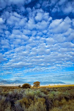 Sonbahar ağaçlarındaki altın sarısı yapraklar Dağlar ve bulutlarla dolu gökyüzü