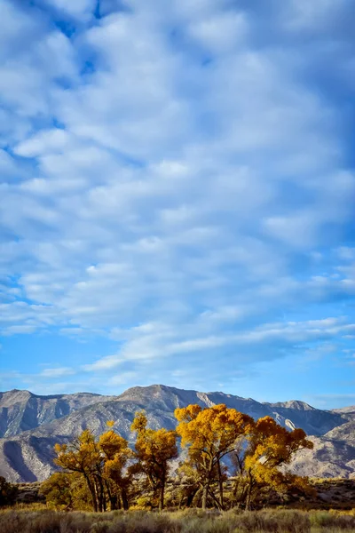 Hojas Amarillas Doradas Árboles Otoñales Valle Con Montañas Cielo Lleno — Foto de Stock