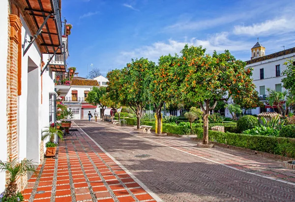 Marbella 'daki güzel portakal ağaçlarının manzarası, arka planda mavi gökyüzü. Şehirde portakal ağaçları var. Plaza de los Naranjos, Marbella, İspanya. 