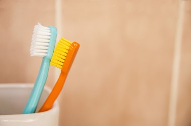 Diş fırçaları