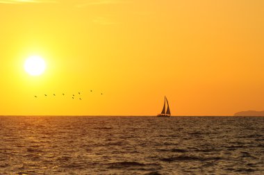 Yelkenli günbatımı kuşlar