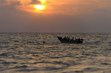 Tekne günbatımı kuşlar