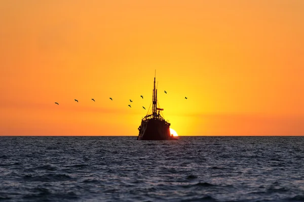 Schip zonsondergang vogels — Stockfoto