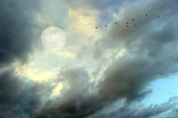Moon Clouds Birds — Stock Photo, Image