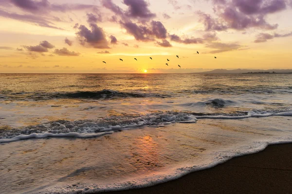 Ocean Sunset Seascape — Stock Photo, Image