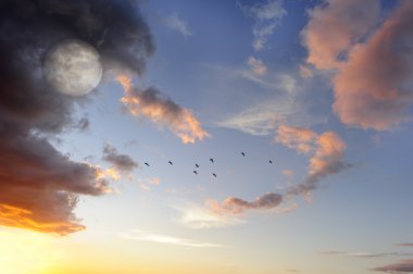 Moon Clouds Birds Flying clipart