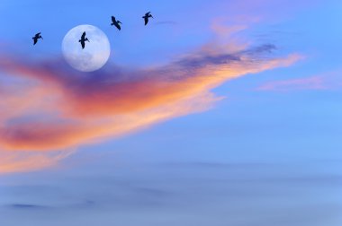 Birds Flying Silhouettes clipart