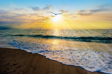 Bir kuş silueti, Güneş Okyanus 'un Günbatımından Emanate Işığına doğru uçuyor.