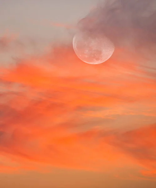 Una Luna Piena Sorge Cielo Colorato Tramonto Formato Immagine Verticale — Foto Stock