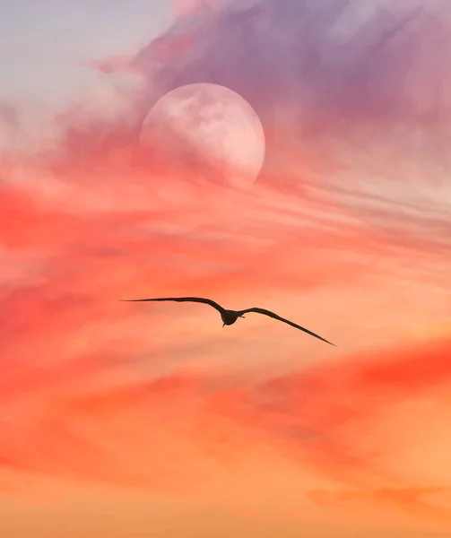 A Full Moon is Rising in a Colorful Sunset Sky As A Bird Flying in a Vertical Image Format