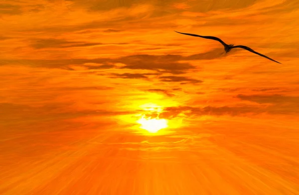 Único Pássaro Está Voando Para Sol Com Asas Abertas — Fotografia de Stock