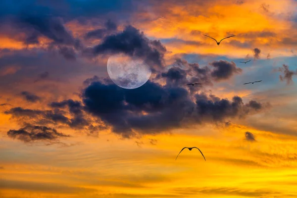 Flock Birds Fly Silhouetted Full Moon Vivid Fantasy Sunset Sky — Stock Photo, Image