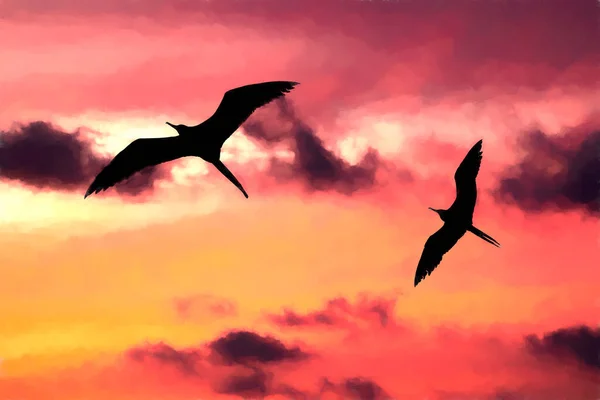 Dos Pájaros Vuelan Través Vibrante Nube Llena Cielo Atardecer Una — Foto de Stock